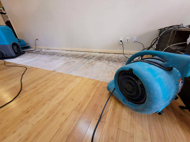 Professional Flood Damage Cleanup technician working in West, MS
