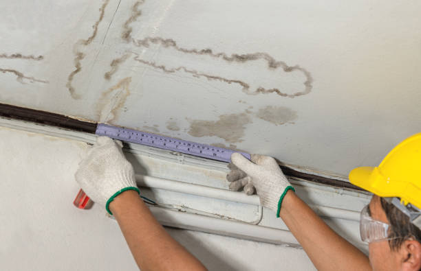 Affordable Flood Damage Cleanup solutions in West, MS